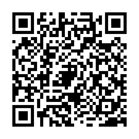QR code for BM20385
