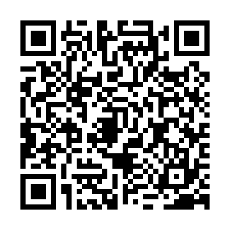 QR code for BM31379