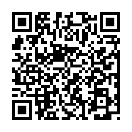 QR code for BN28381