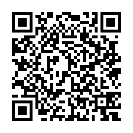QR code for BO10381