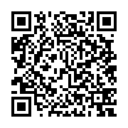 QR code for BO20393