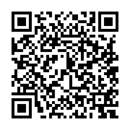 QR code for BO29110