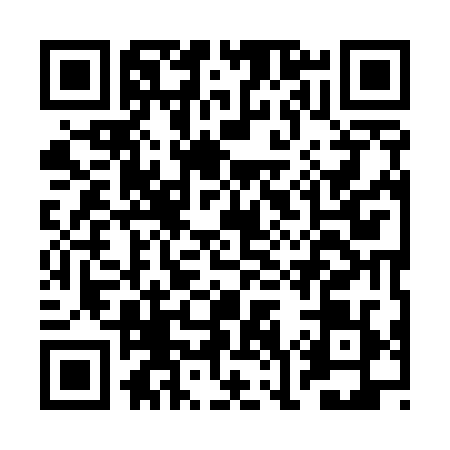 QR code for BO95294