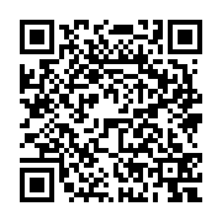 QR code for BO96334