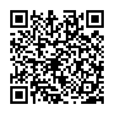 QR code for BQ84994