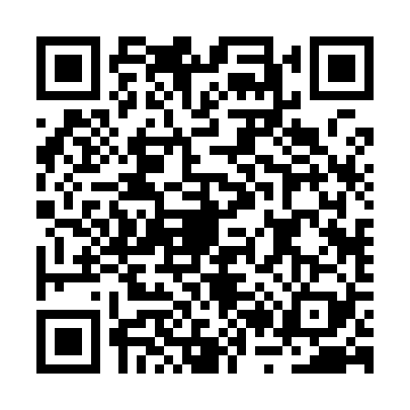 QR code for BR29290