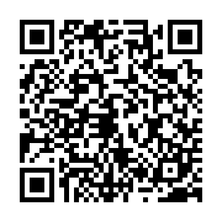 QR code for BR33077