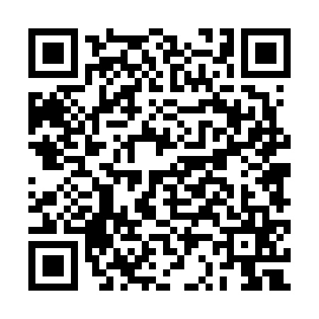 QR code for BR46654