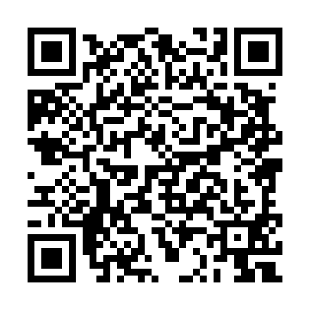QR code for BR84919