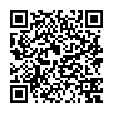 QR code for BR95381