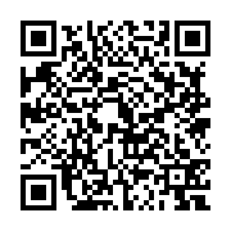 QR code for BS18333