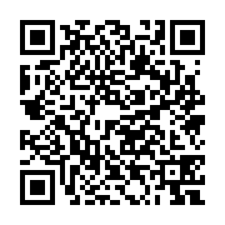 QR code for BT13385