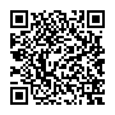 QR code for BT40295