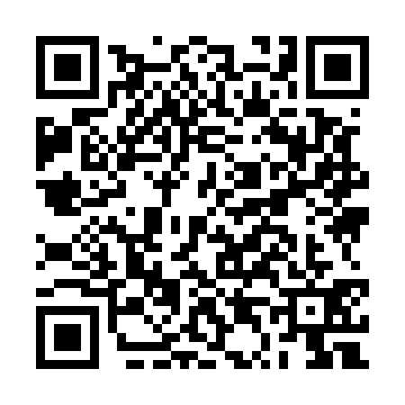 QR code for BT95317