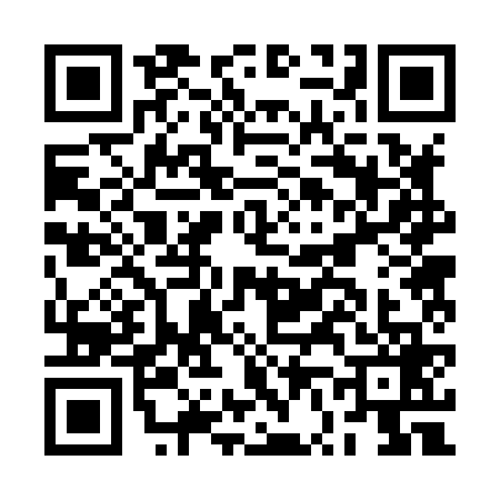 QR code for BV28699