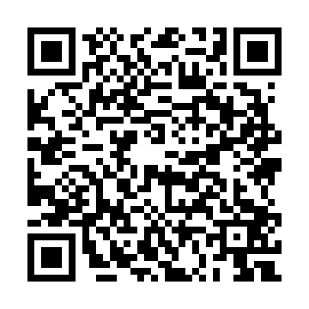 QR code for BV96038