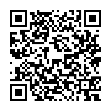QR code for BX91317