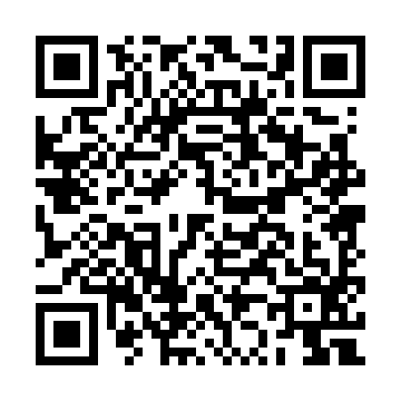 QR code for BZ07960