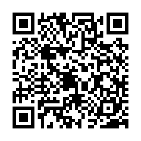 QR code for CA22653