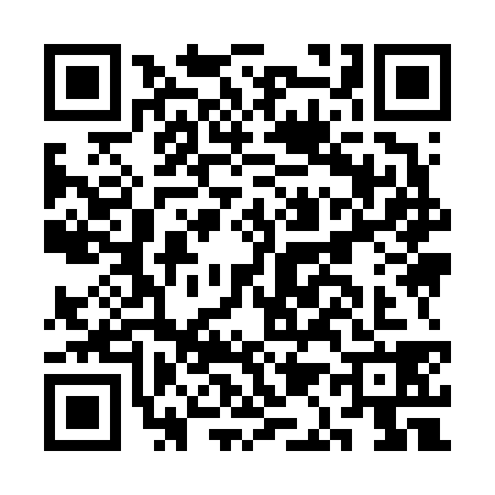 QR code for CA96384