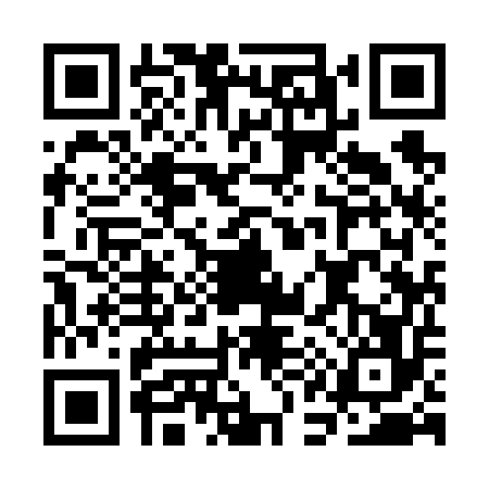QR code for CA96566