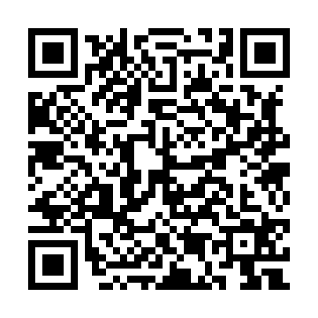 QR code for CE38241