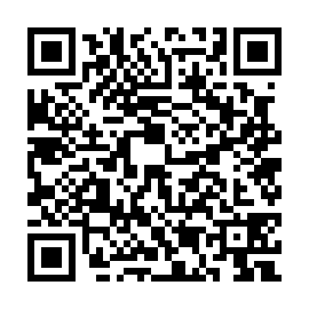 QR code for CE70381