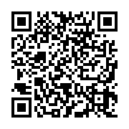QR code for CE95398
