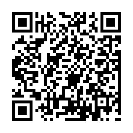 QR code for CF29203