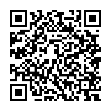 QR code for CG80463