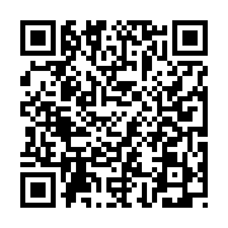 QR code for CH06595