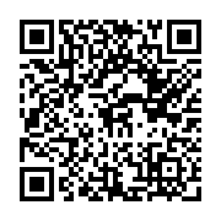 QR code for CH23313
