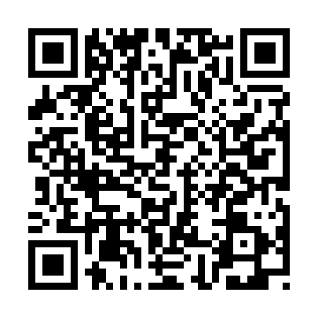 QR code for CH81119