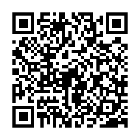 QR code for CH85493