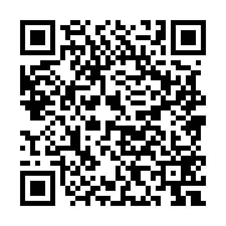 QR code for CH85594