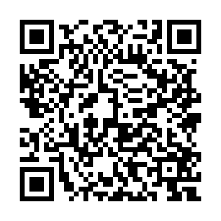 QR code for CH95066