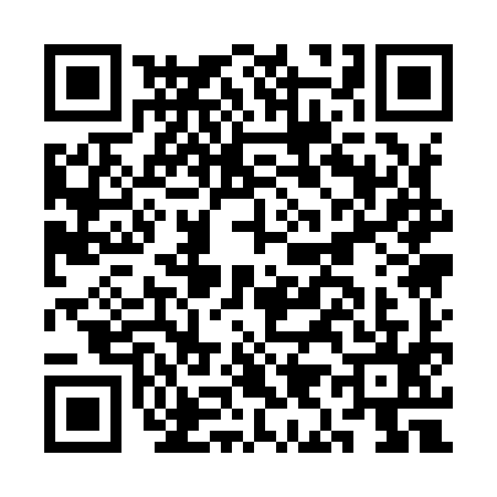 QR code for CI19956