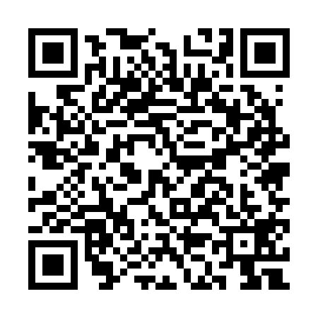 QR code for CK52199