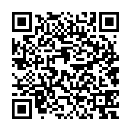QR code for CK62384