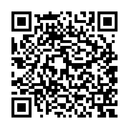 QR code for CK63552