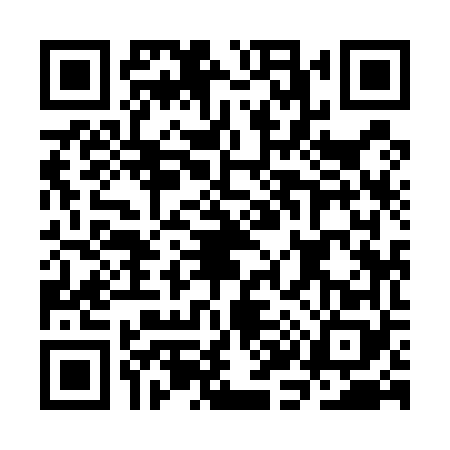QR code for CK95685