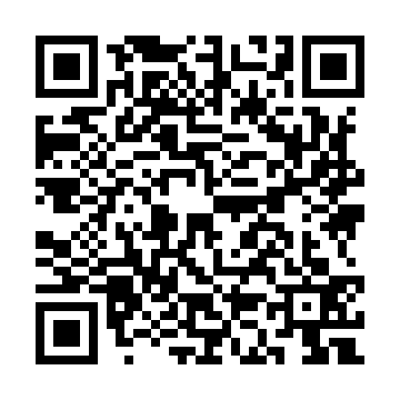 QR code for CK99337