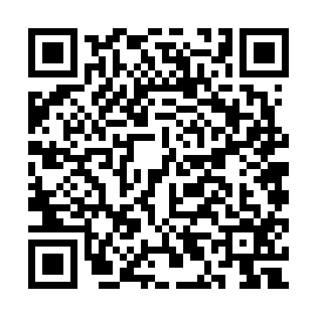 QR code for CL66161