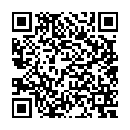 QR code for CN20656