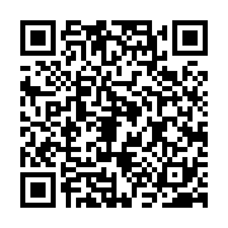 QR code for CN48318