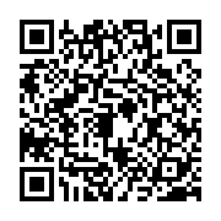 QR code for CN51290