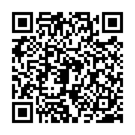 QR code for CN54231