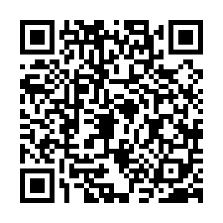 QR code for CN81593