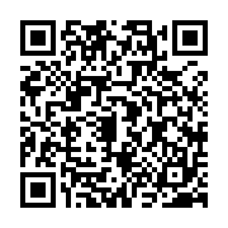 QR code for CN89173