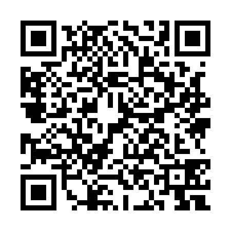 QR code for CN91381